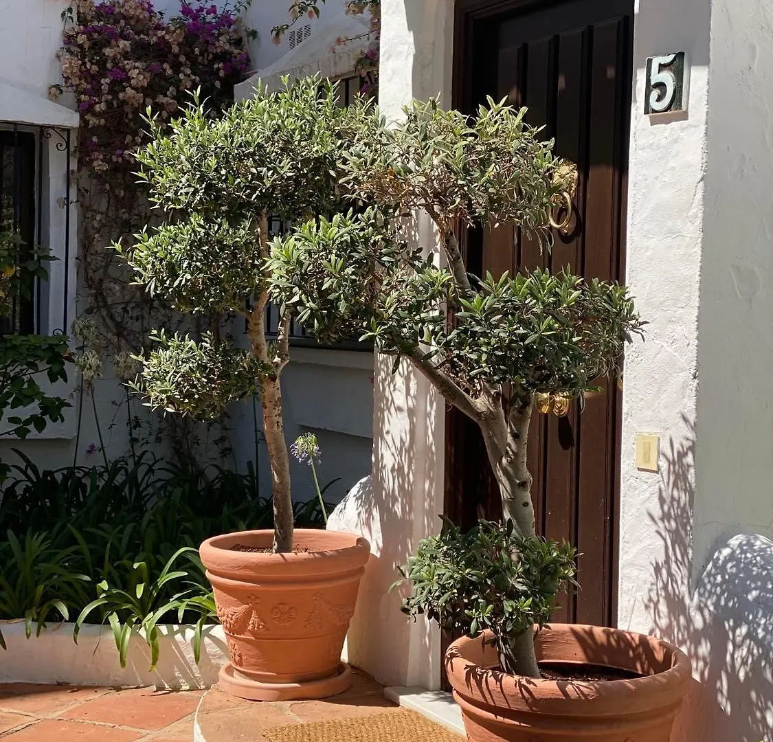 Topbeliggende Lejl I Marbella Nueva Andalucia Spanyolország